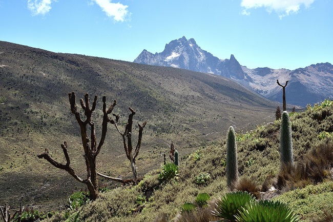 Mt Kenya