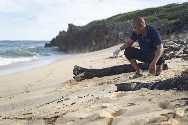 UN recognises World Restoration Flagships in East Africa, Mexico, Spain