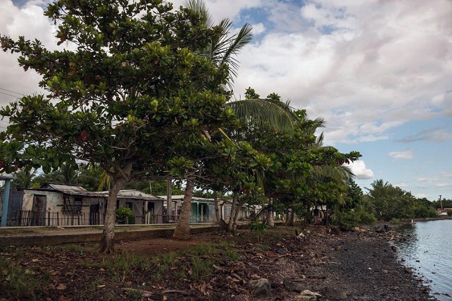 How Cuba’s coastal communities fight climate change