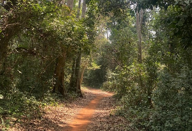 Ekiti