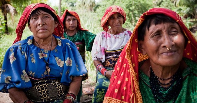 New report lists Indigenous Women’s response to climate, human rights crisis