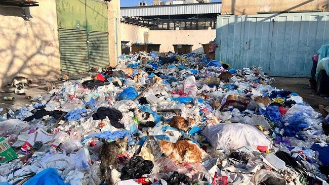 Plastic pollution