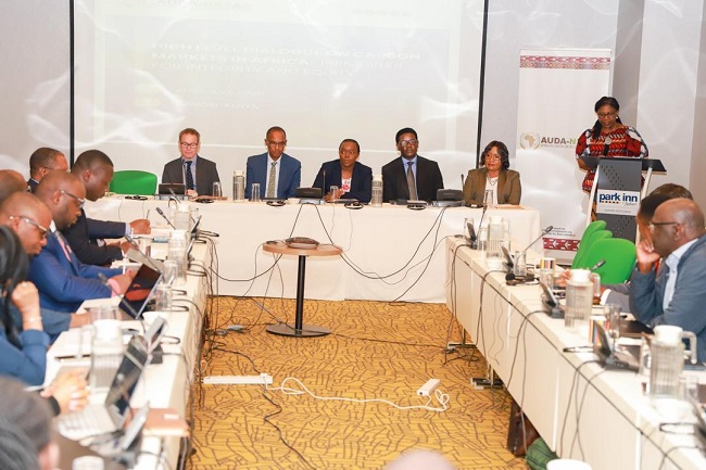 Africa unveils integrity principles, coordination platform to strengthen carbon markets