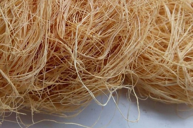 African traditional bath sponge