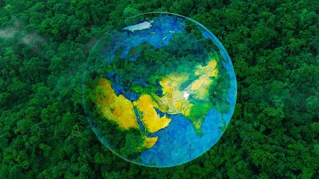 Tropical Forests Forever Fund
