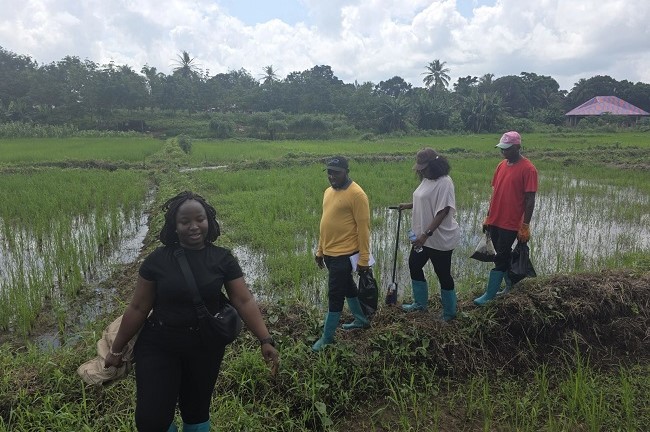 Regional Hub uses data science for nutrition recommendations to boost food productivity in West Africa