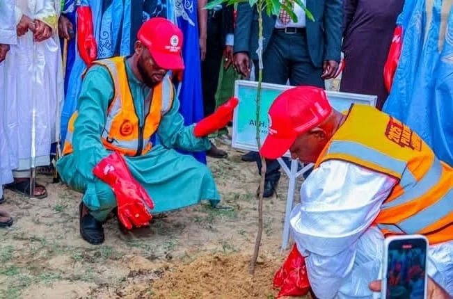 Tree planting