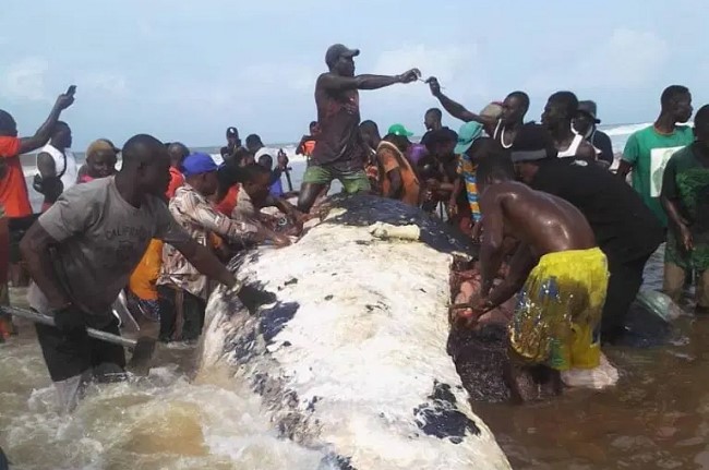 Okpoama community