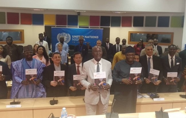 2025 UN Lean Season Plan: X-raying funding for BAY states