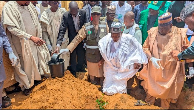Agency intensifies tree planting to fight desertification in Yobe