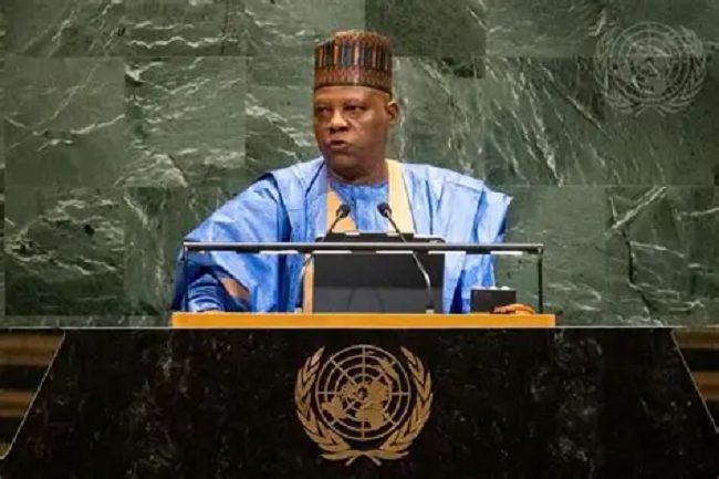 Kashim Shettima