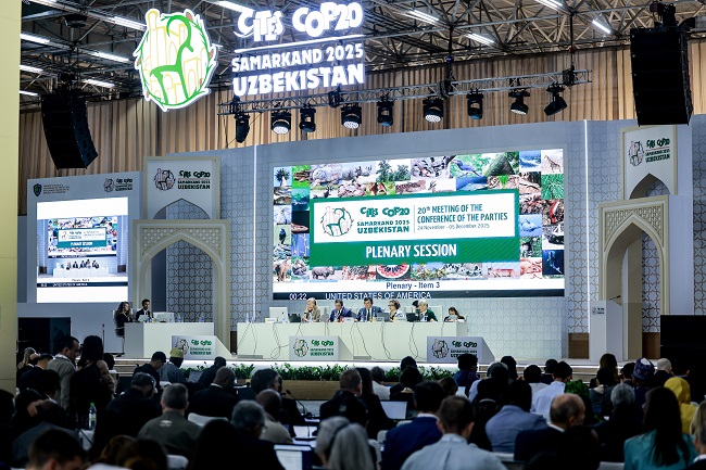 From Samarkand to the world: CoP20 sets out to define next chapter in wildlife trade