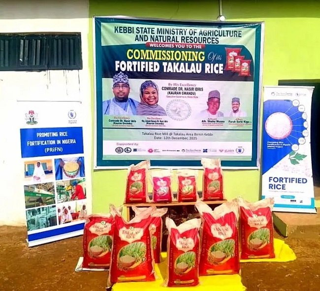 Kebbi inaugurates fortified rice production