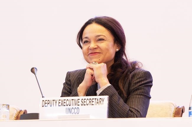 Every inch of land counts for survival of Small Island Developing States – UNCCD