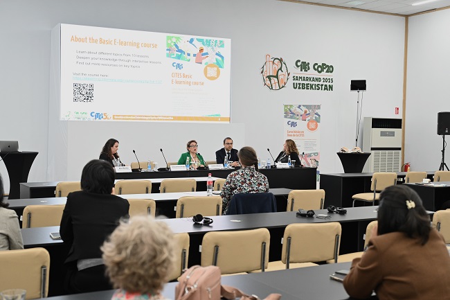 CITES unveils new e-learning tools to strengthen global wildlife trade governance