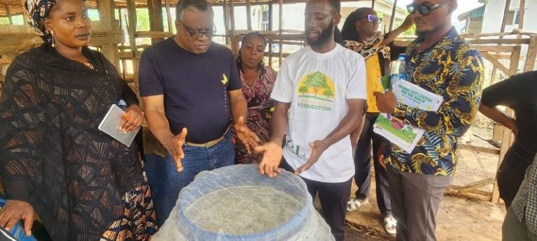 Farmers lead quiet shift to agroecology across Nigerian communities