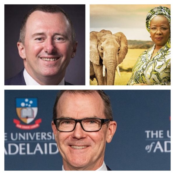 Prohibition of ivory trade: Charting a new path in elephant conservation