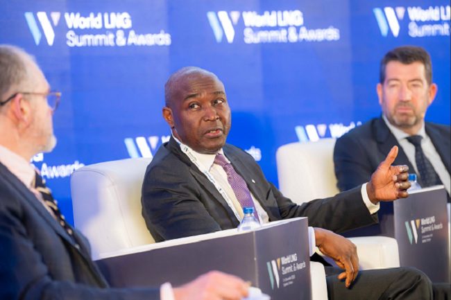 NLNG outlines path to sustainable LNG at World Summit