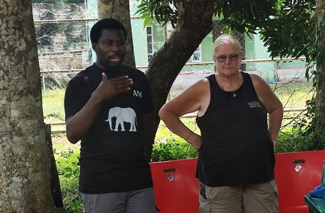 Baby elephant rescue spurs unprecedented conservation drive in Nigeria