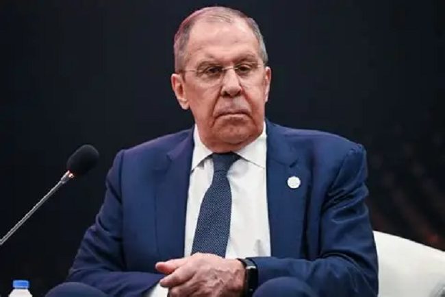 Russia, Africa to strengthen cooperation in trade, environmental protection