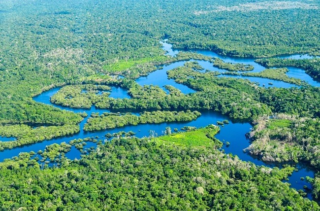 Amazon Rainforest