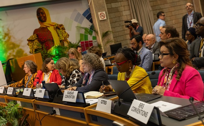 CITES at UNEA-7: Strengthening multilateral action for a resilient planet