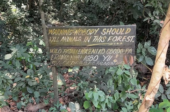 Emerald Forest Reserve