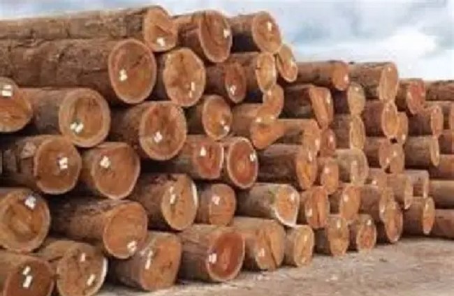 Wood export