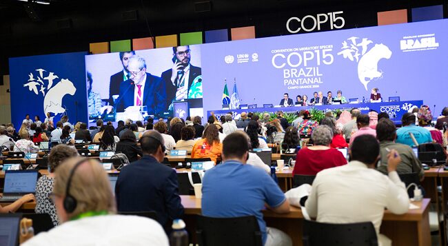 CMS COP15