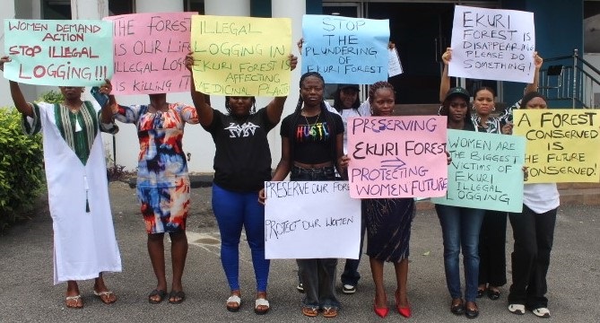 Ekuri women petition Cross River Assembly over logging impacts in community forest
