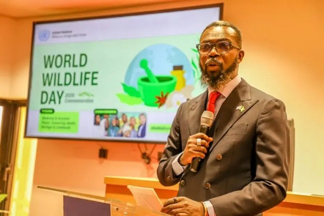 Wildlife crime threatening development, security, warns UNODC