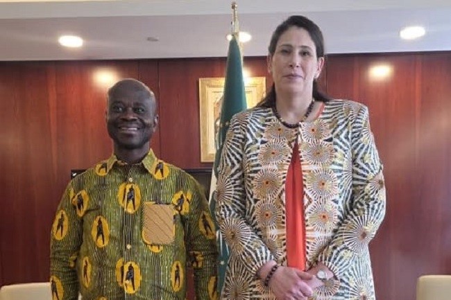 African negotiators call for action-driven climate finance at regional sustainable development forum