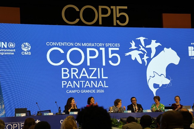 IUCN welcomes roadmap to safeguard world’s migratory species corridors at CMS COP15