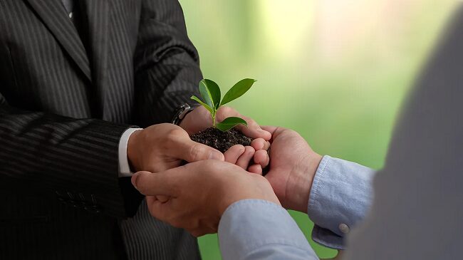 How Europe can use emissions trading to also manage carbon removals