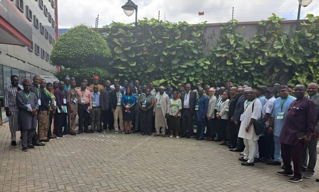 SON partners SRADeV to advance energy efficiency for electric motors