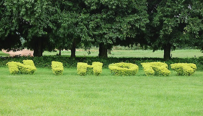 Food security: Stakeholders urge Nigerians to embrace biotechnology, digital tools