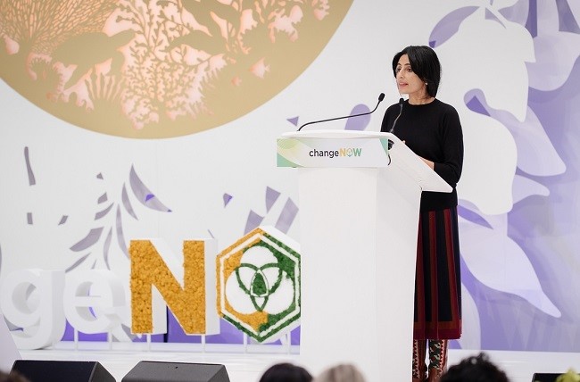 Nature essential to our economy, our stability, our humanity – IUCN President