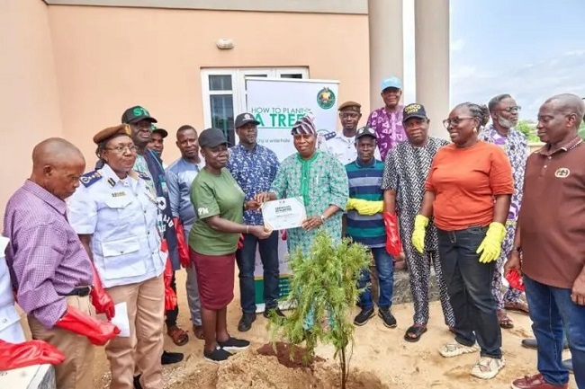 Tree planting exercise