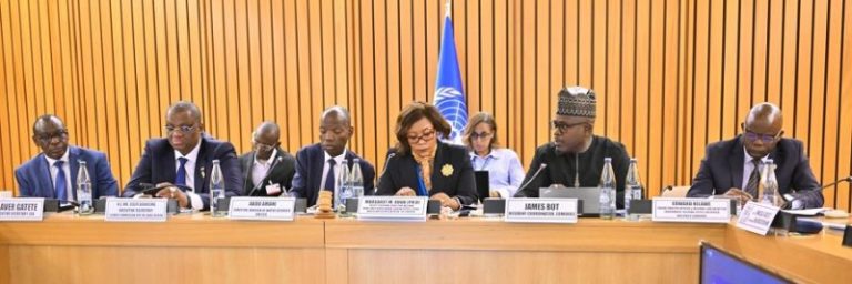 Agenda 2063 and SDGs: UN Resident Coordinators seek to strengthen domestic resource mobilisation in Africa
